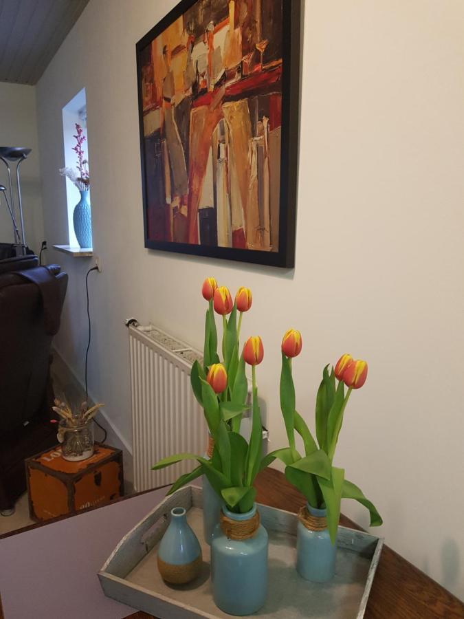 Op Ut Schoor Apartman Sint-Oedenrode Kültér fotó